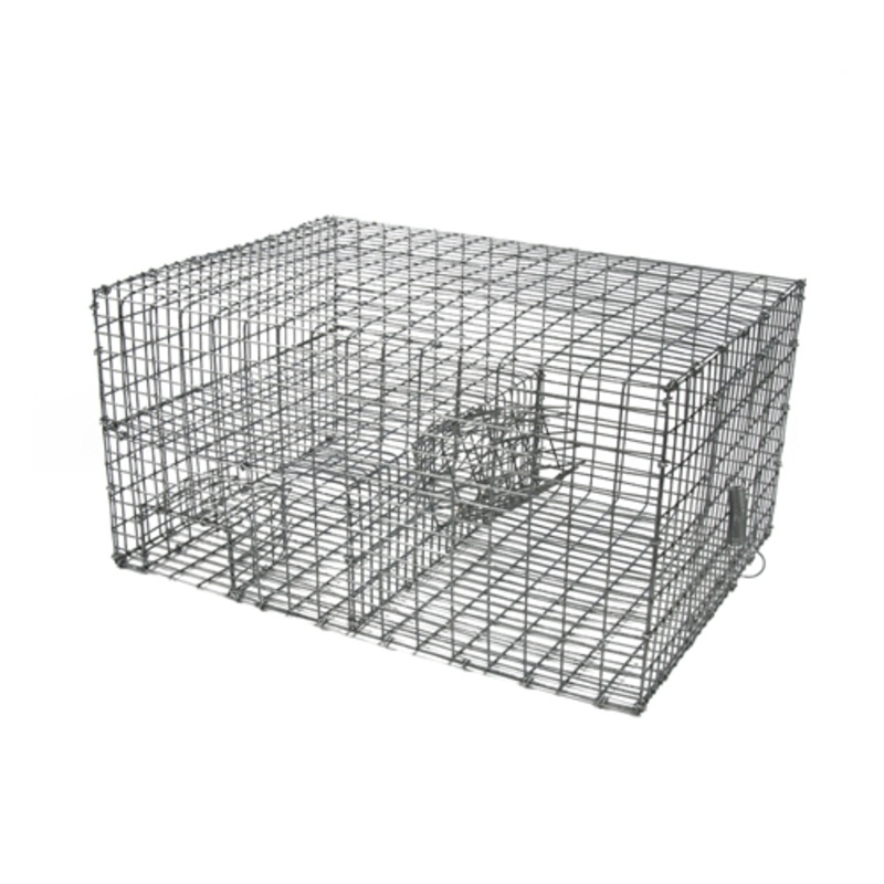 WCS Multi Catch Sparrow Trap - Professional Animal Care Solutions Center
